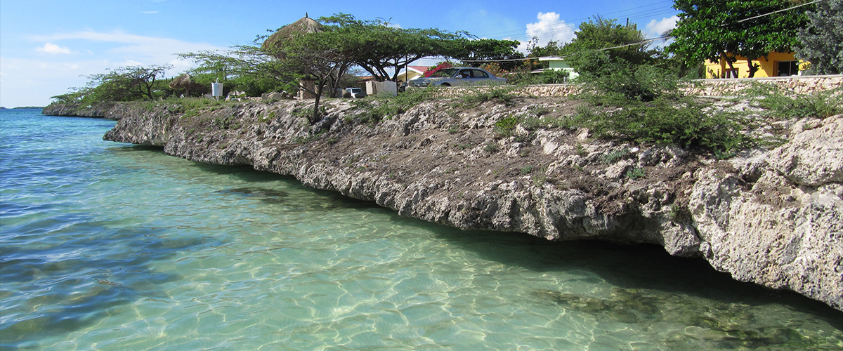 arts-op-caribische-eilanden