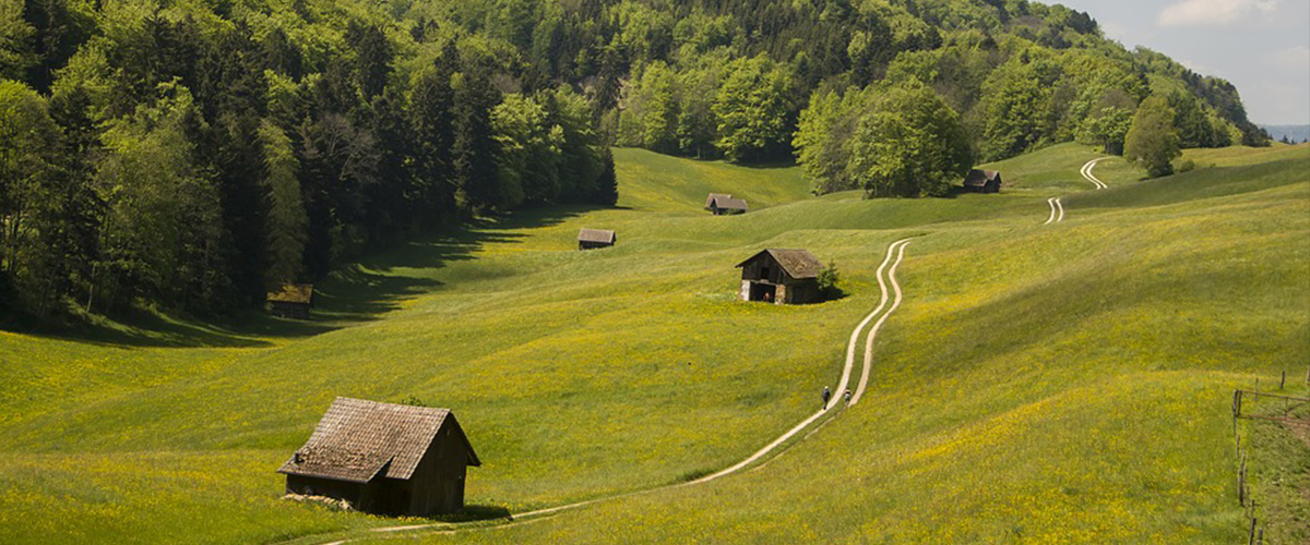 vacatures-zwitserland