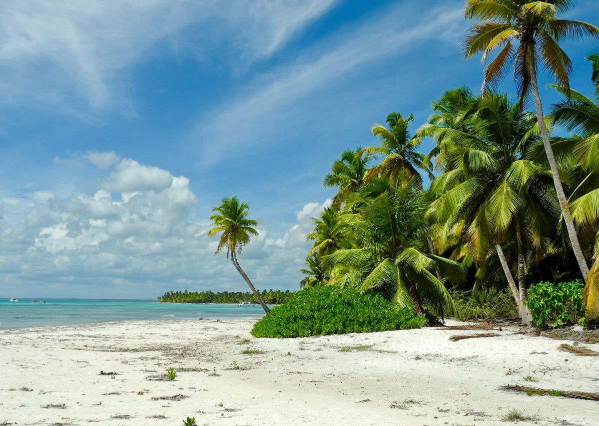 zaalarts op aruba