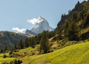 werken zwitserland natuur 2000 0 100