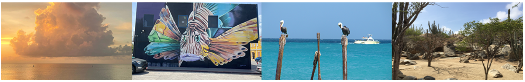 aruba 1