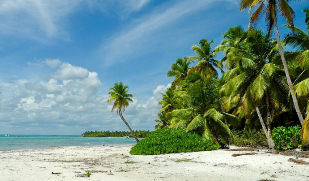 zaalarts op aruba